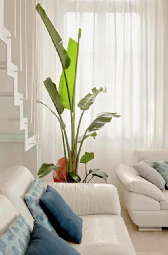Вілла Amazing Sea View Flat Тирренія Екстер'єр фото